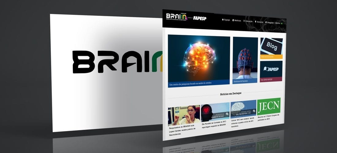 brainn-portfolio-webcontent-2