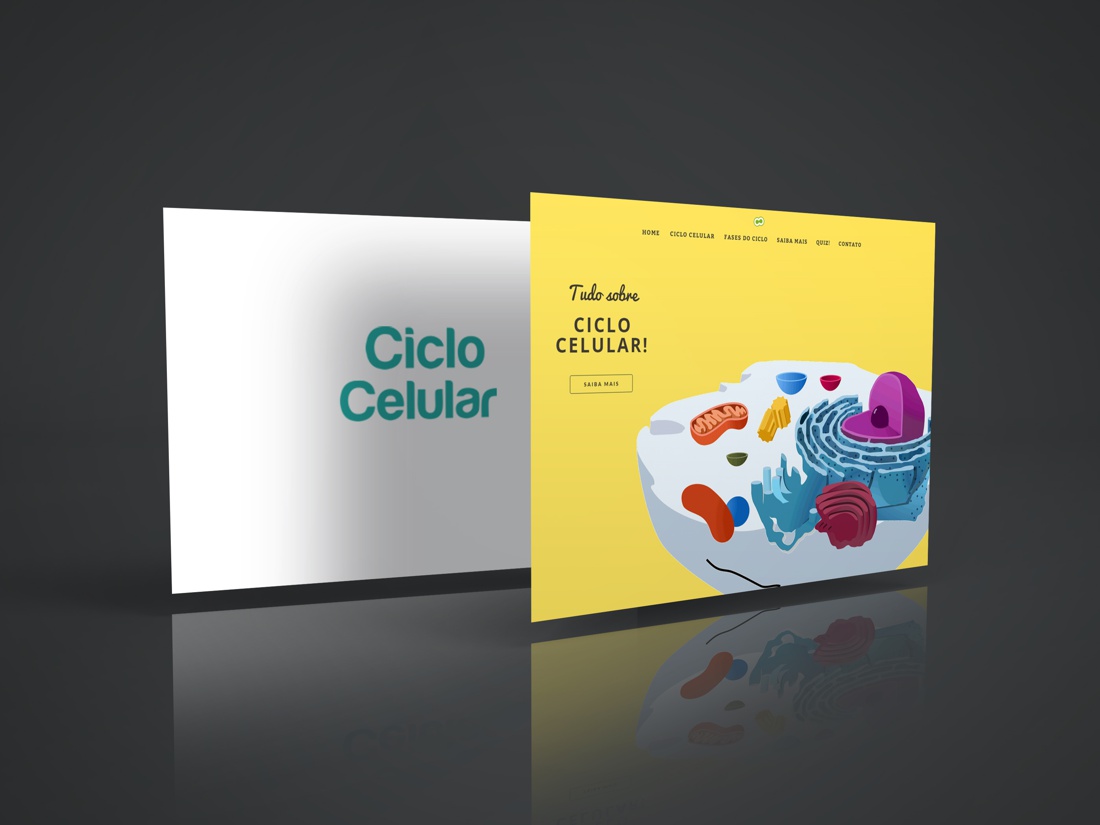 ciclo-celular-portfolio-webcontent